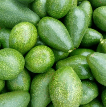 Avocados