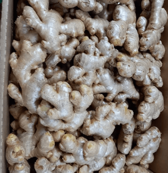 Ginger