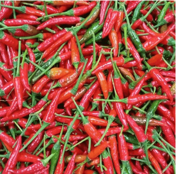 Red chilli